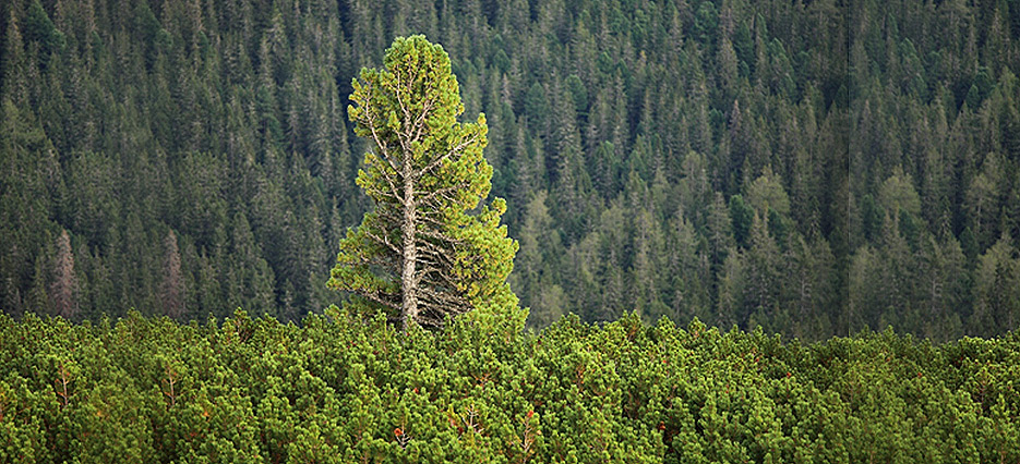 featured-case-for-change